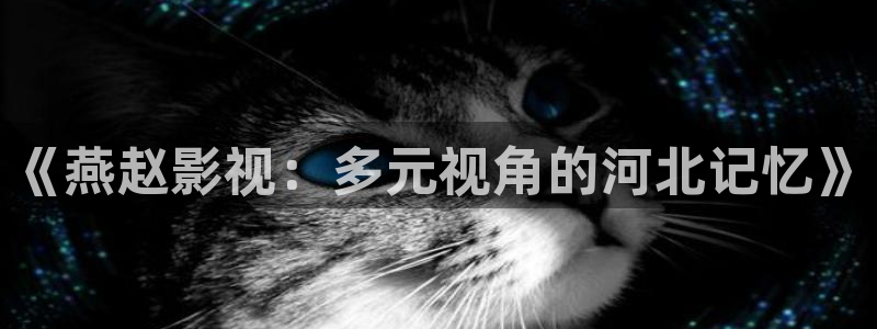 新视觉影院家庭影院