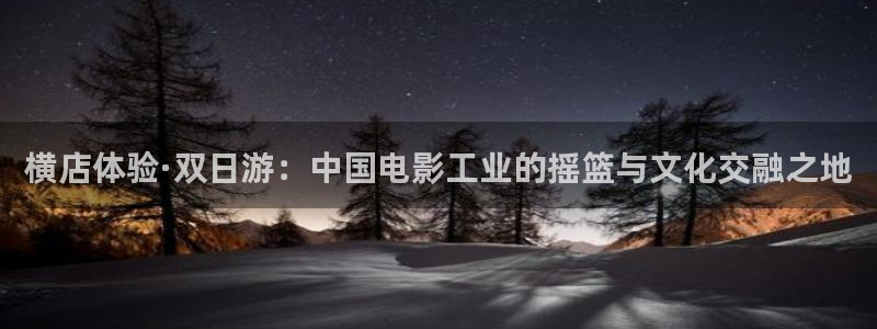 6080新视觉电影免费观看