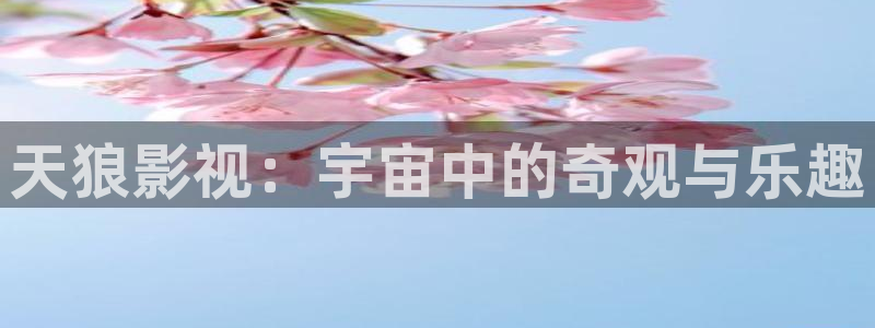 6080新视觉影视院